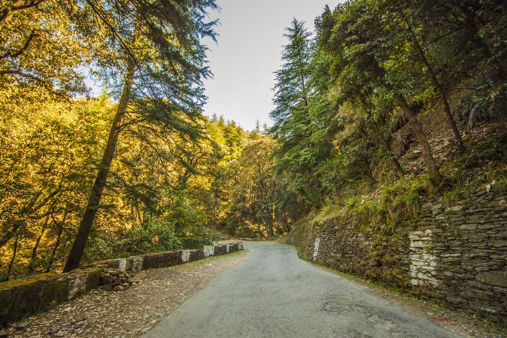 Find Self in the Arms of the Scenic Chail