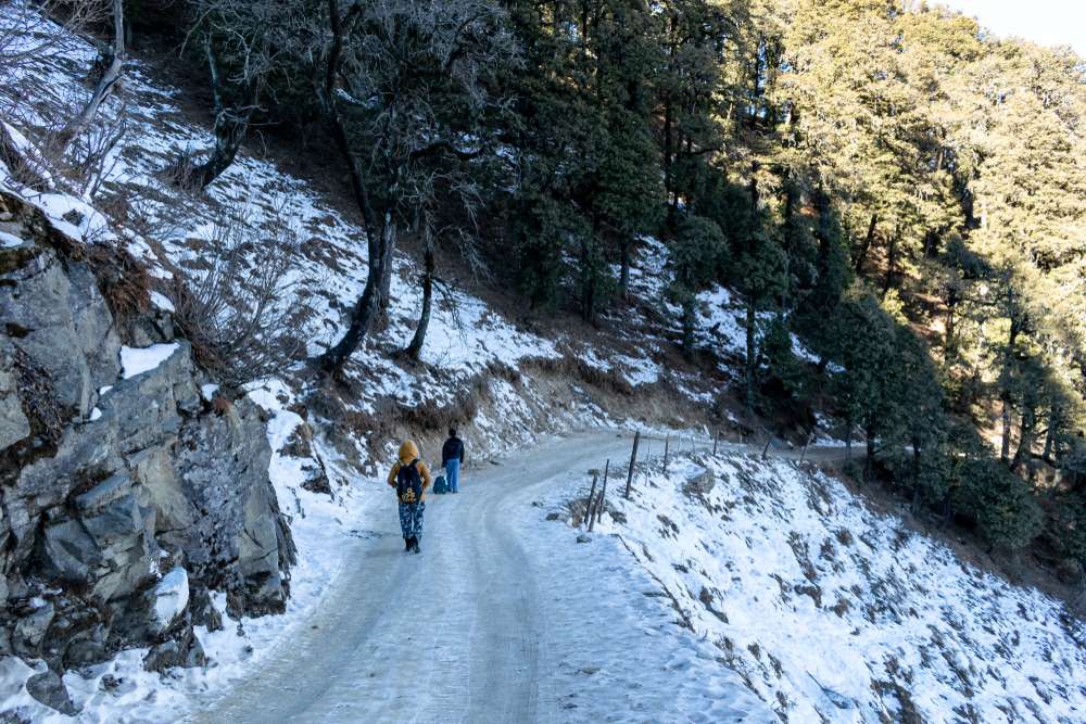 Journey along the Vista Roads to Narkanda