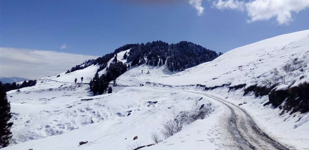 Taste the Majestic Nature with Solan