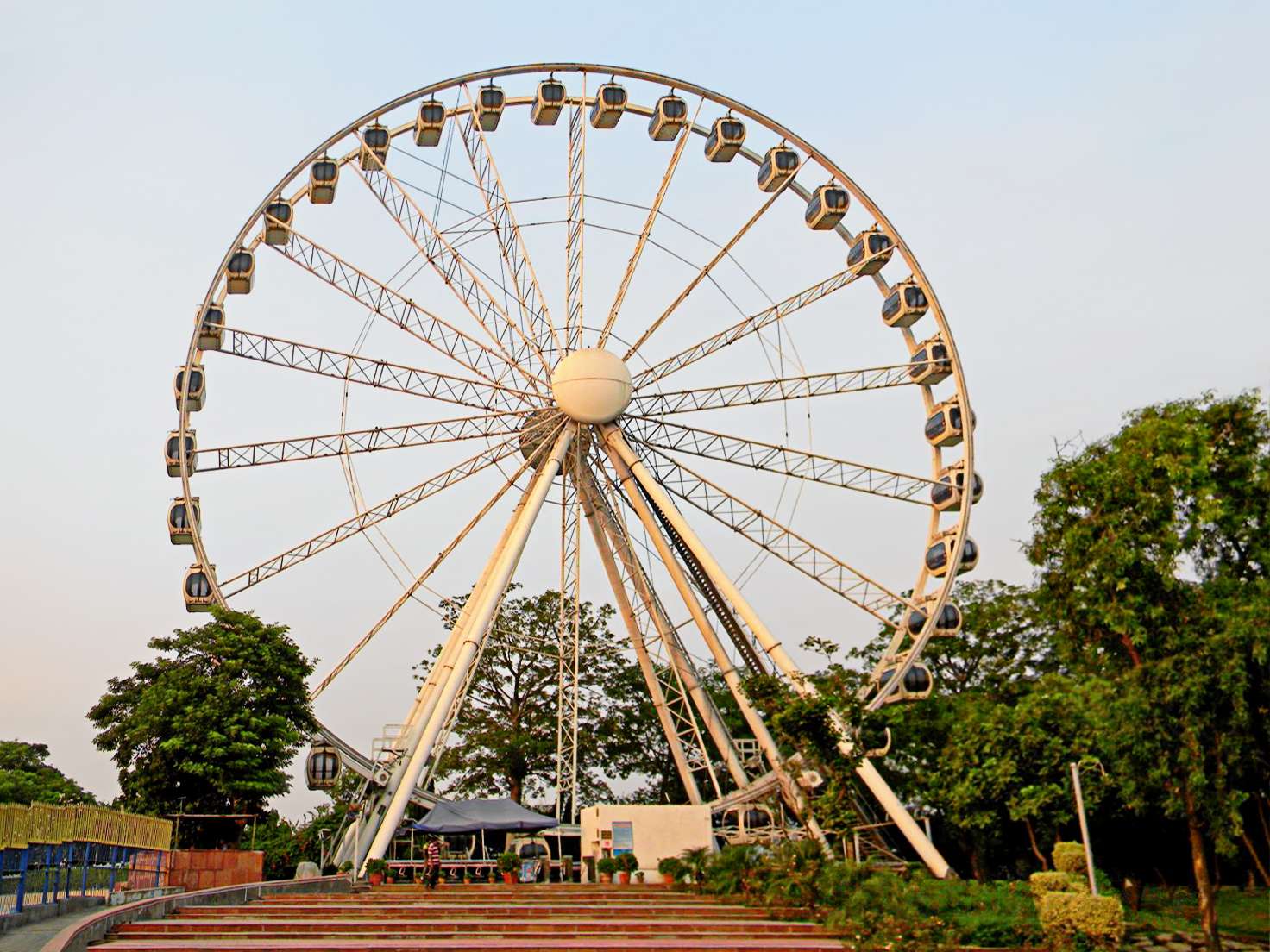 Delhi Eye