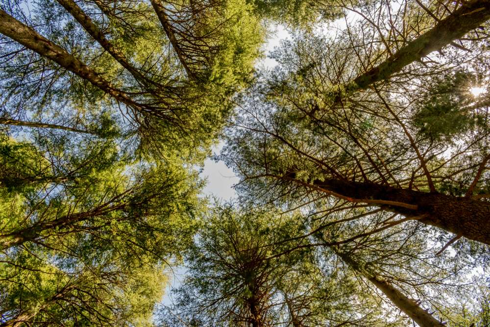 Kalatop Wildlife Sanctuary 