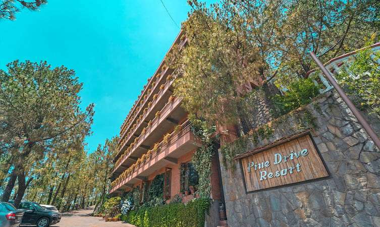 Pine Drive Resort