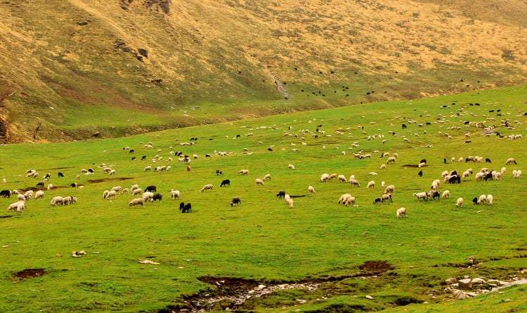 Discover a Quieter Side of Himachal in Rohru