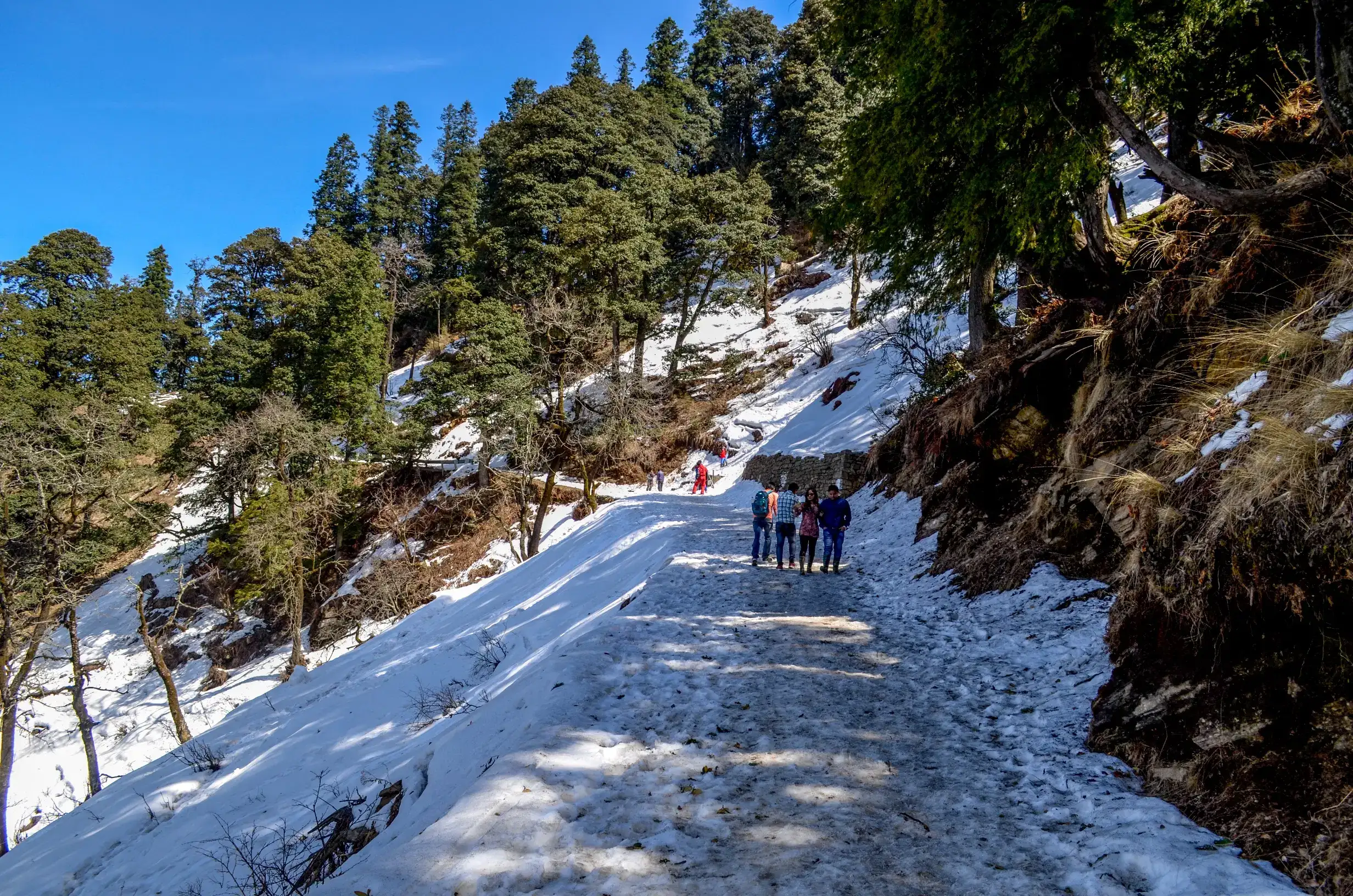 Enjoy Forest Trails and Snow at Mashobra
