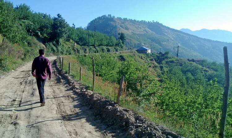 Wander the Quiet Forest Paths of Kiala