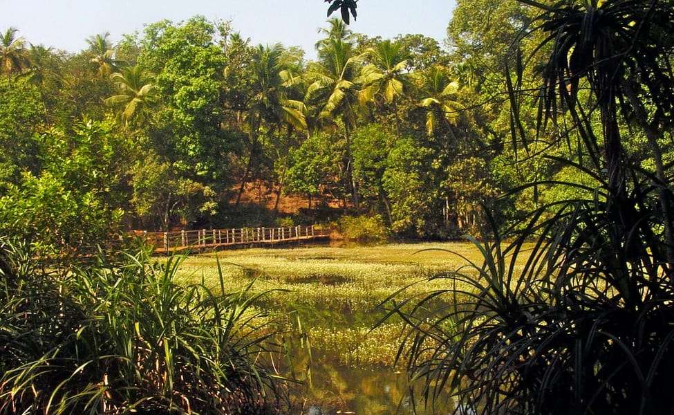 Spice Plantation Tour