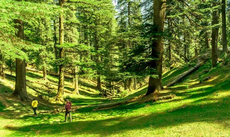 Great Himalayan National Park