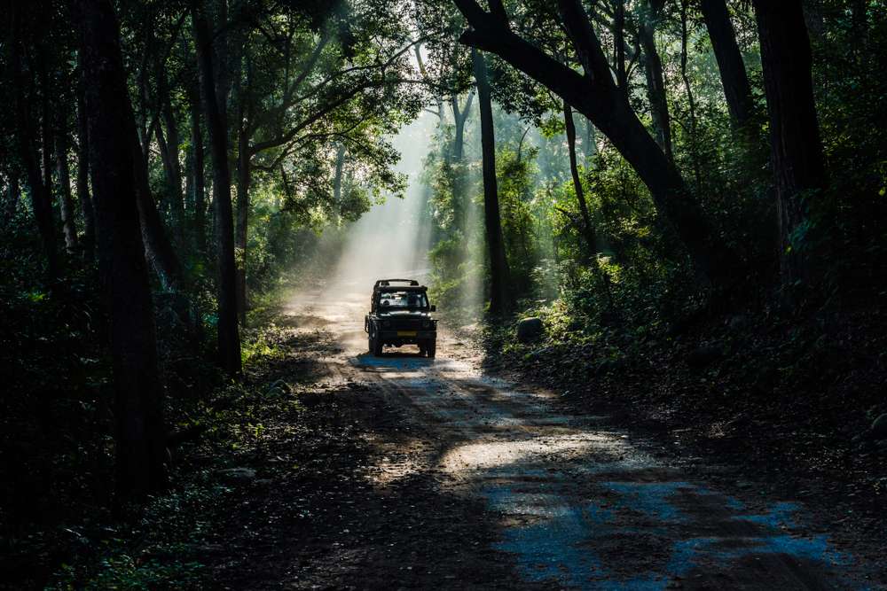 Corbett National Park