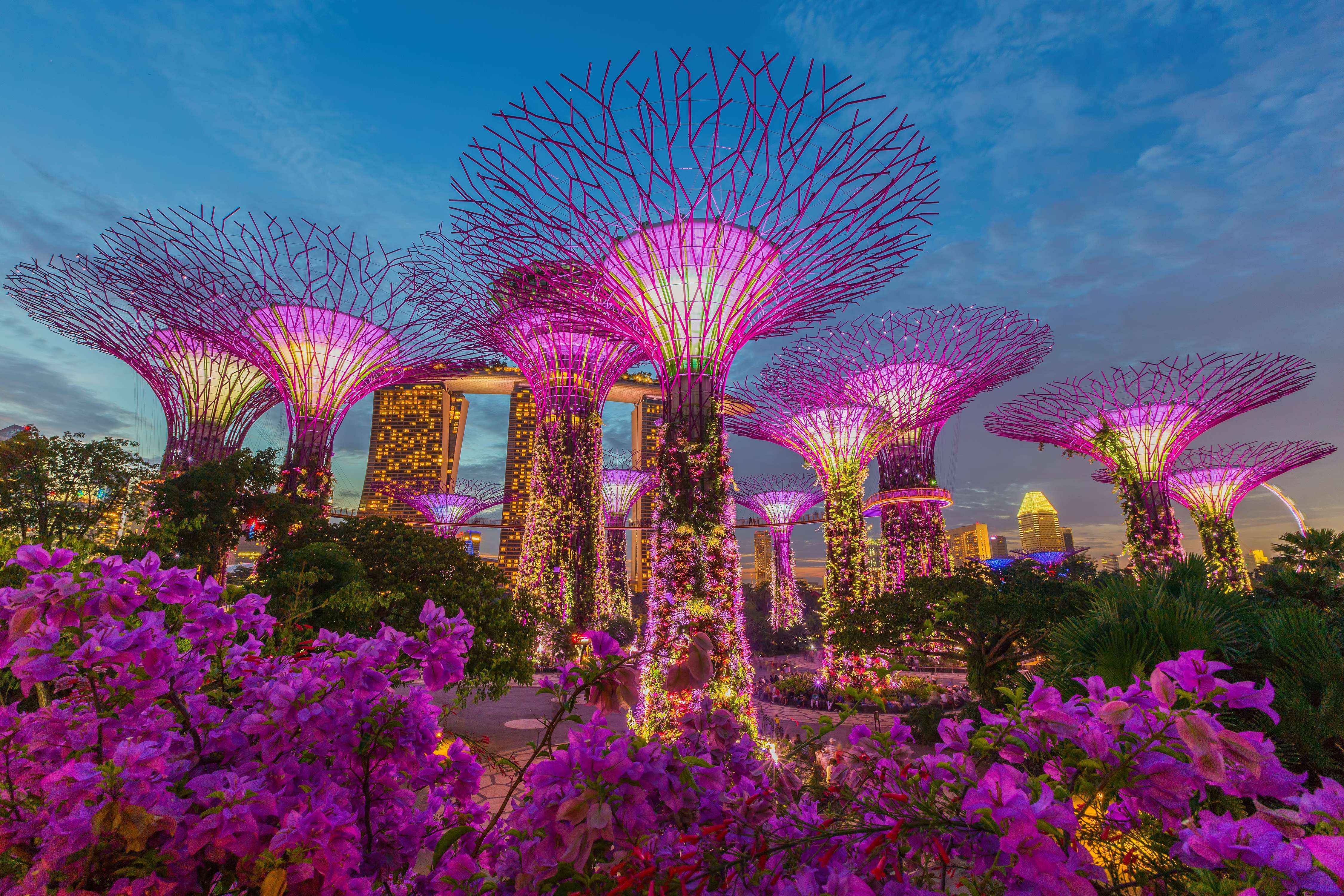 Spend a Romantic Evening at Gardens By the Bay