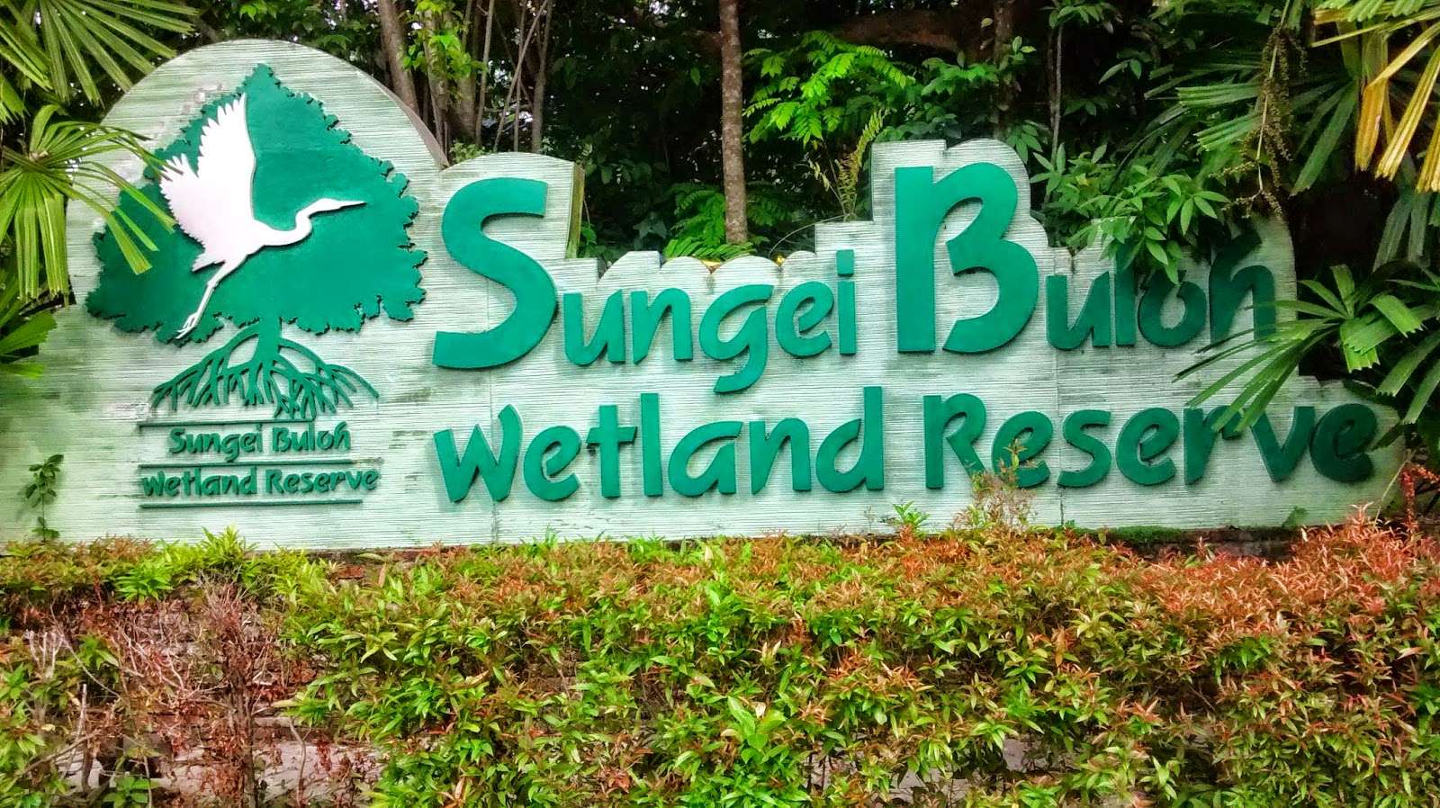 Spend Time In Nature at Sungei Buloh Wetlands