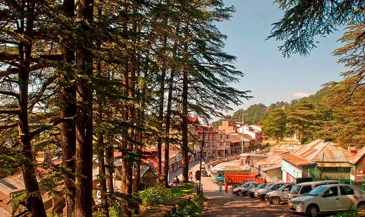 Chail in Summer