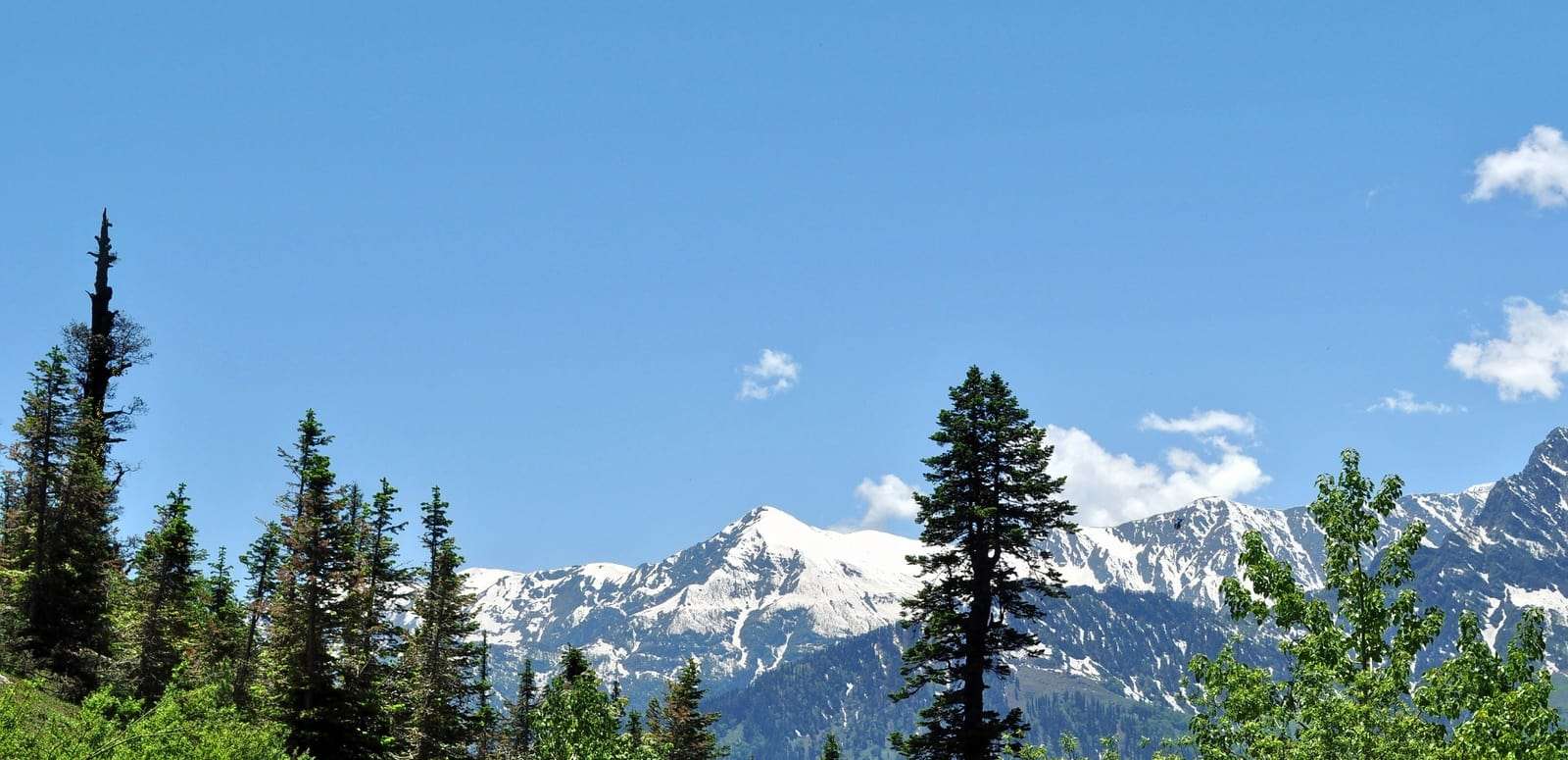 Delhi to Mussoorie (320 km)