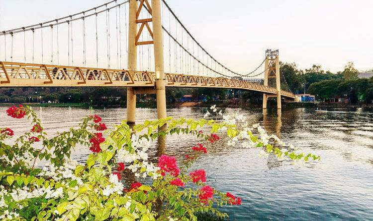 Delhi to Bhopal (775 km)