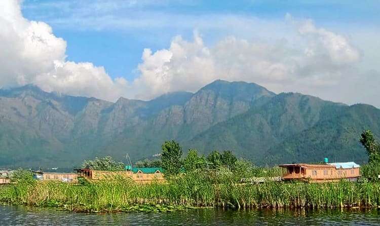 Palampur in Monsoon