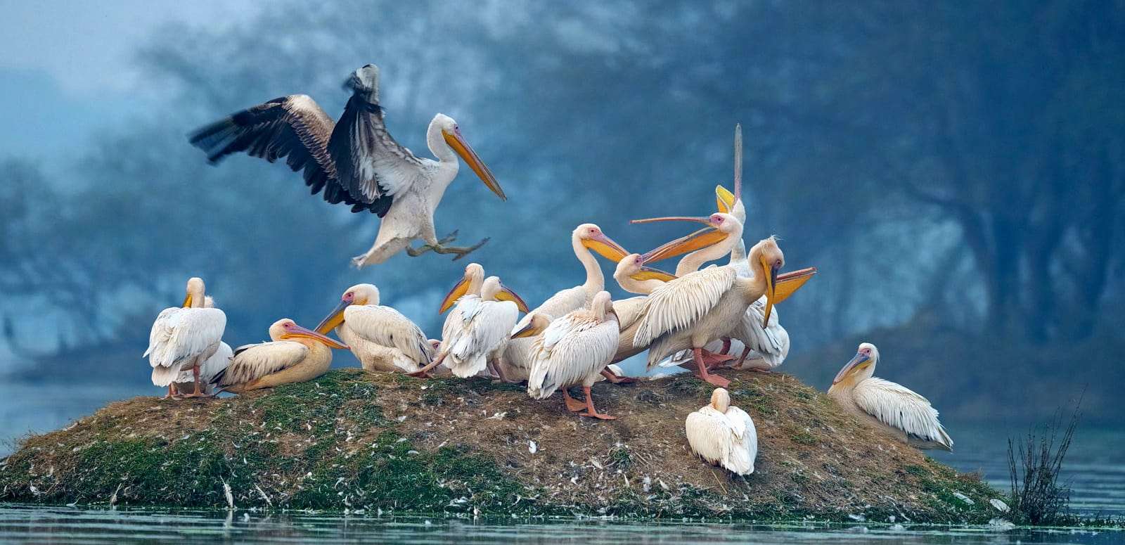 Keoladeo National Park