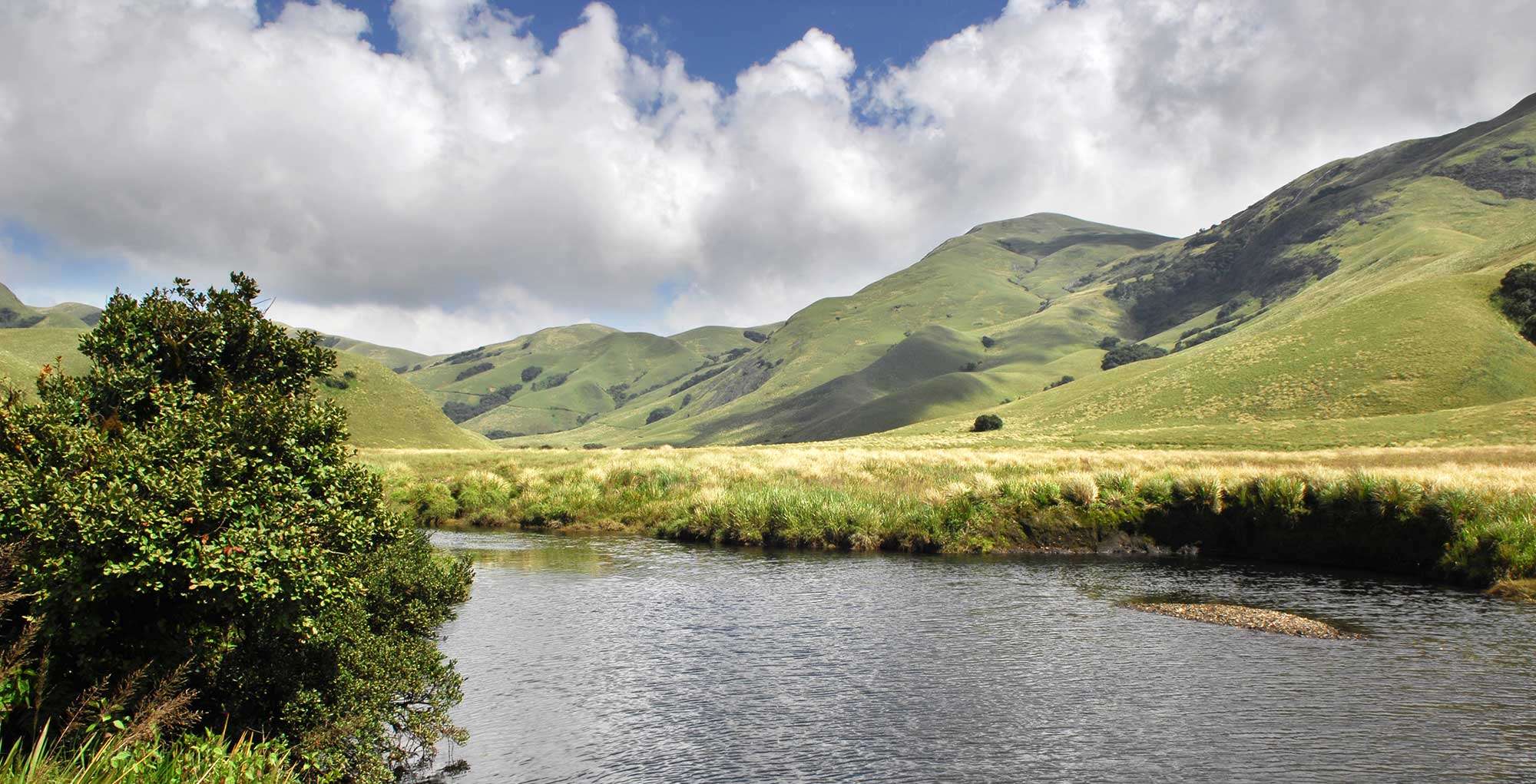 Eravikulam National Park