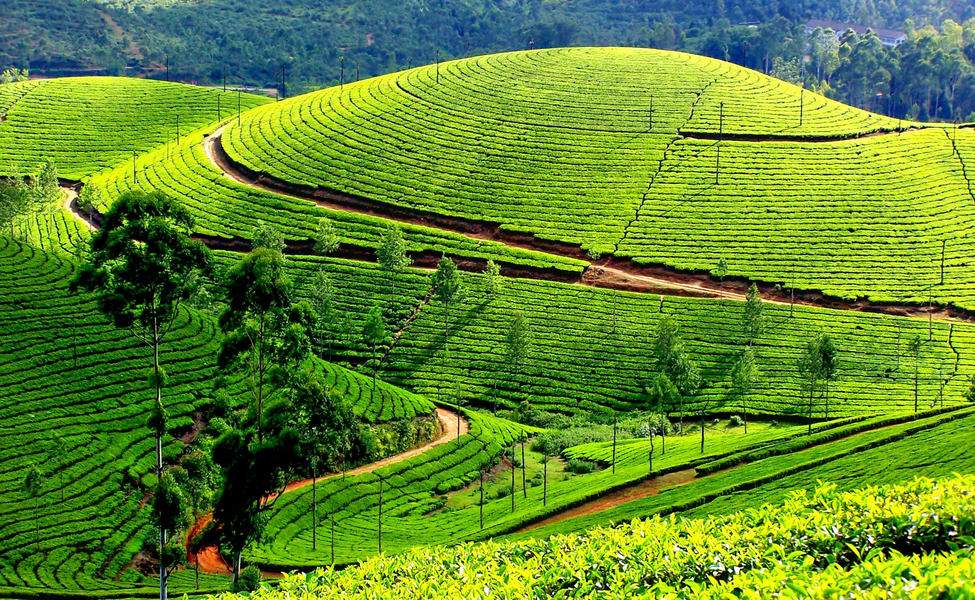 Munnar