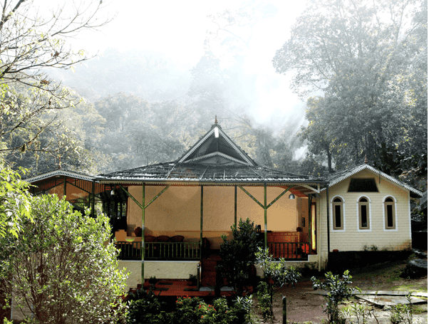 Green Magic Tree House