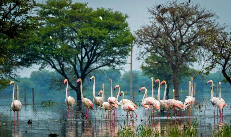 Bharatpur - 219 km from Delhi