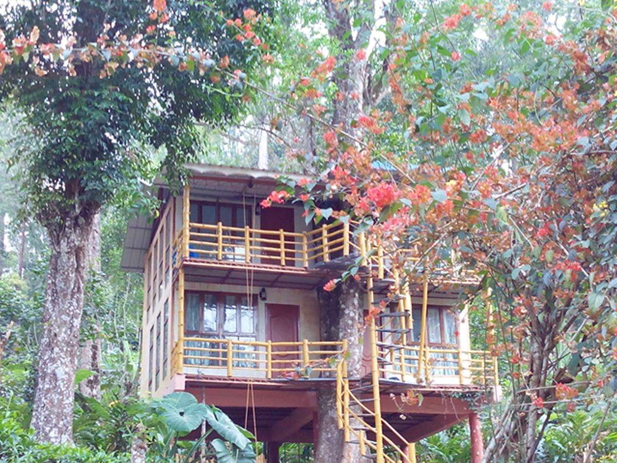 Jungle Jive Tree House