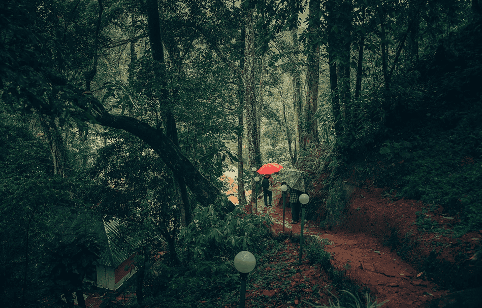 Ela Ecoland Nature Retreat