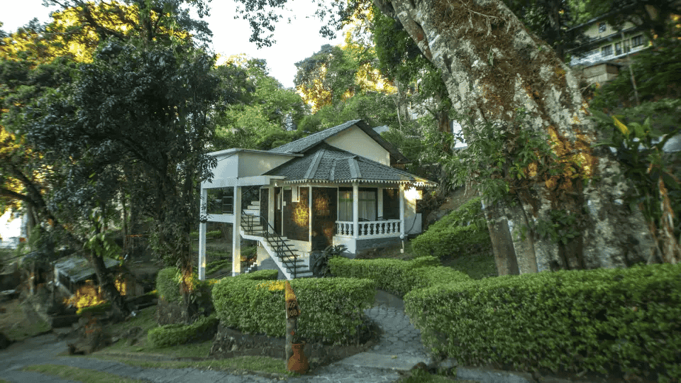 Great Escapes Tree House