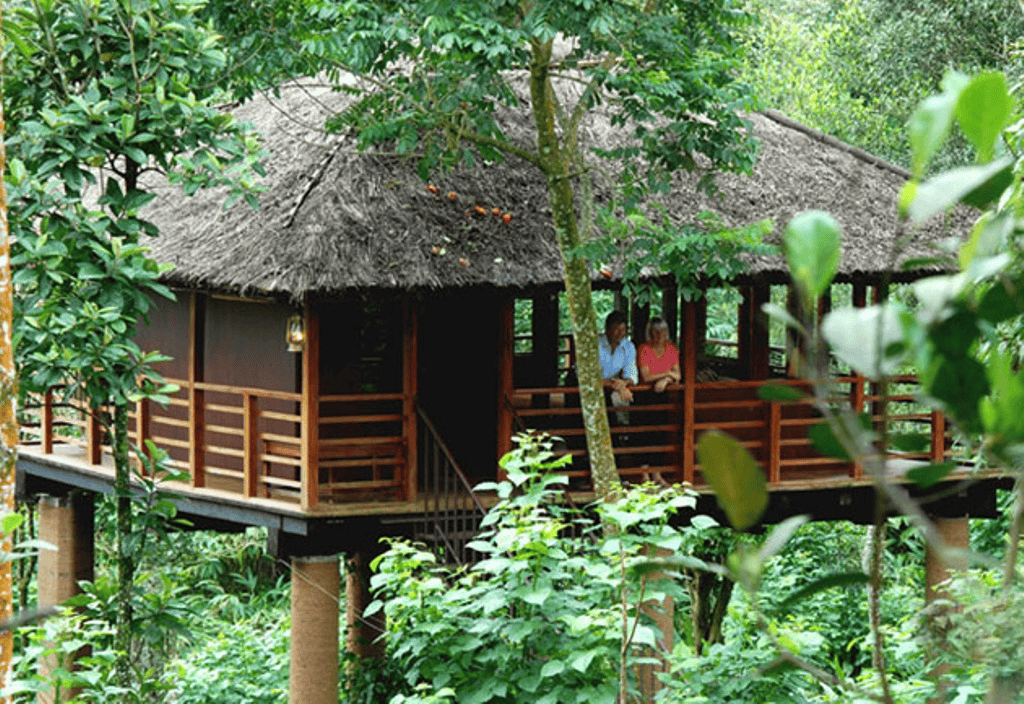 Kaivalyam Retreat Tree House