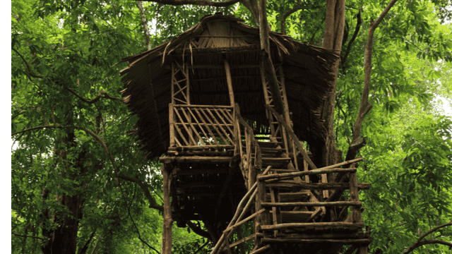 20 Tree Houses in Kerala {{year}} | Book Now & Get Upto 45% Off