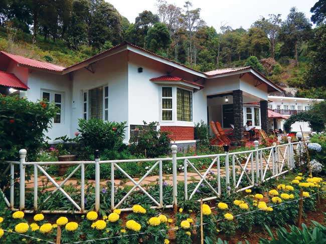 Olivebrook Luxury Cottage