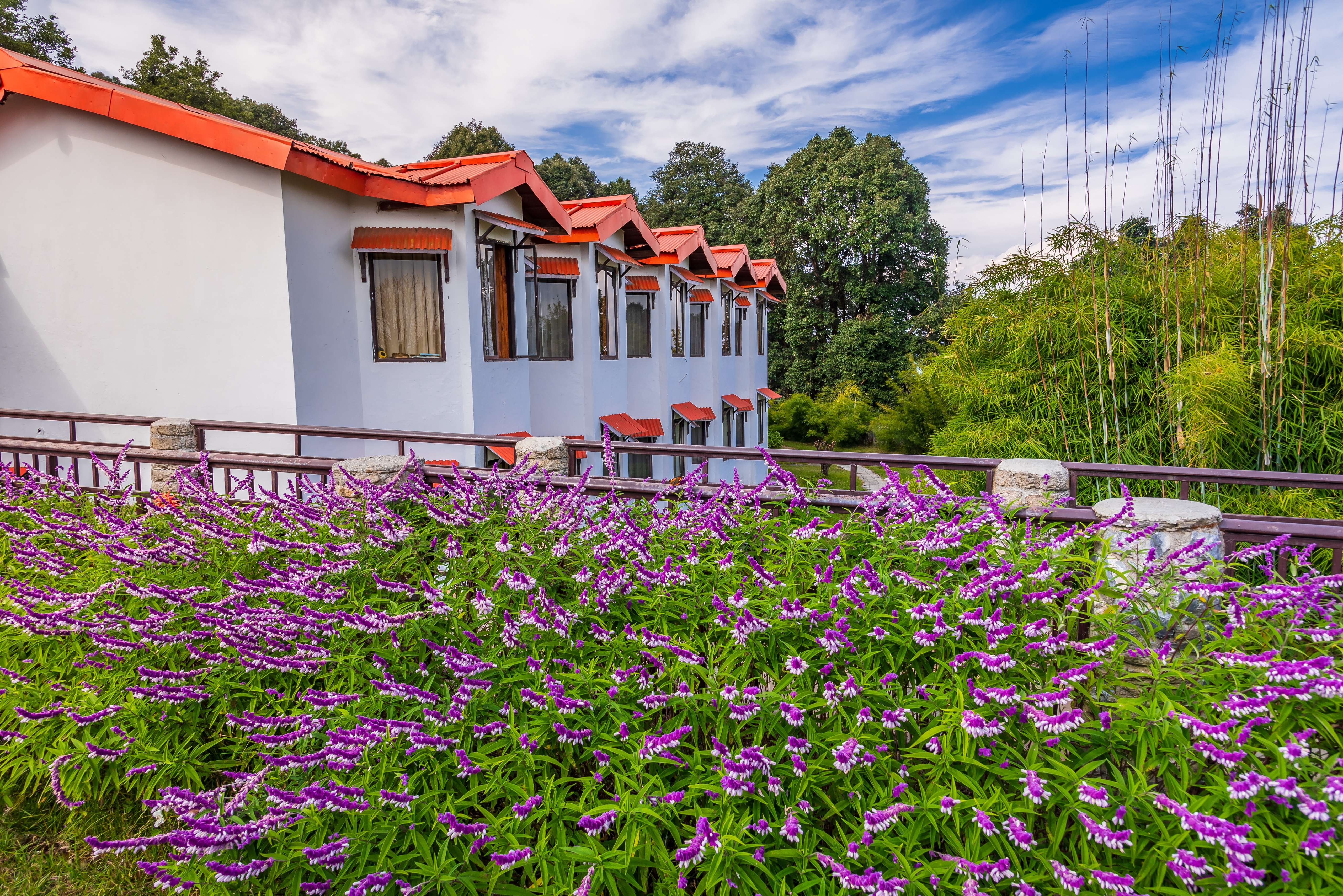 15 Kausani Resorts, Book Now & Get Upto 50% Off