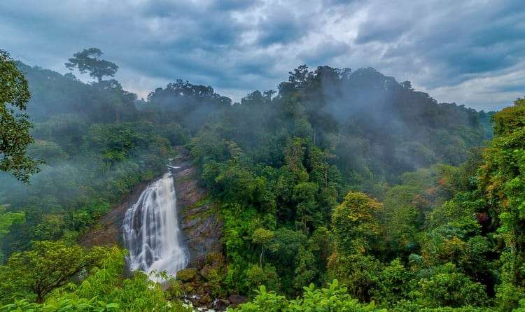 Attukad Waterfalls