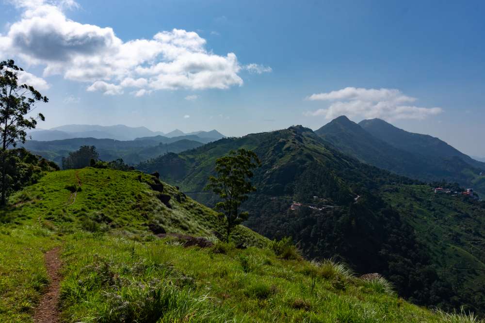 Pothamedu View Point