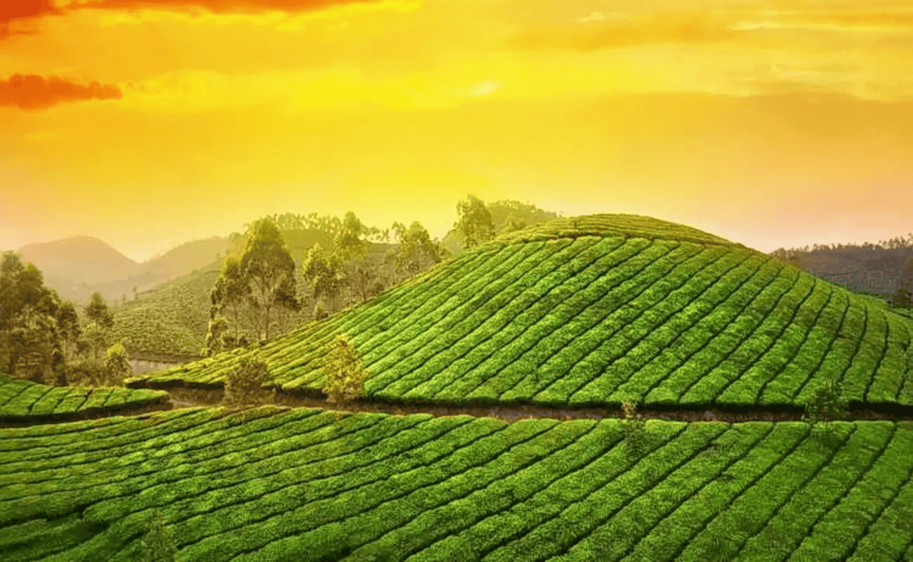Munnar