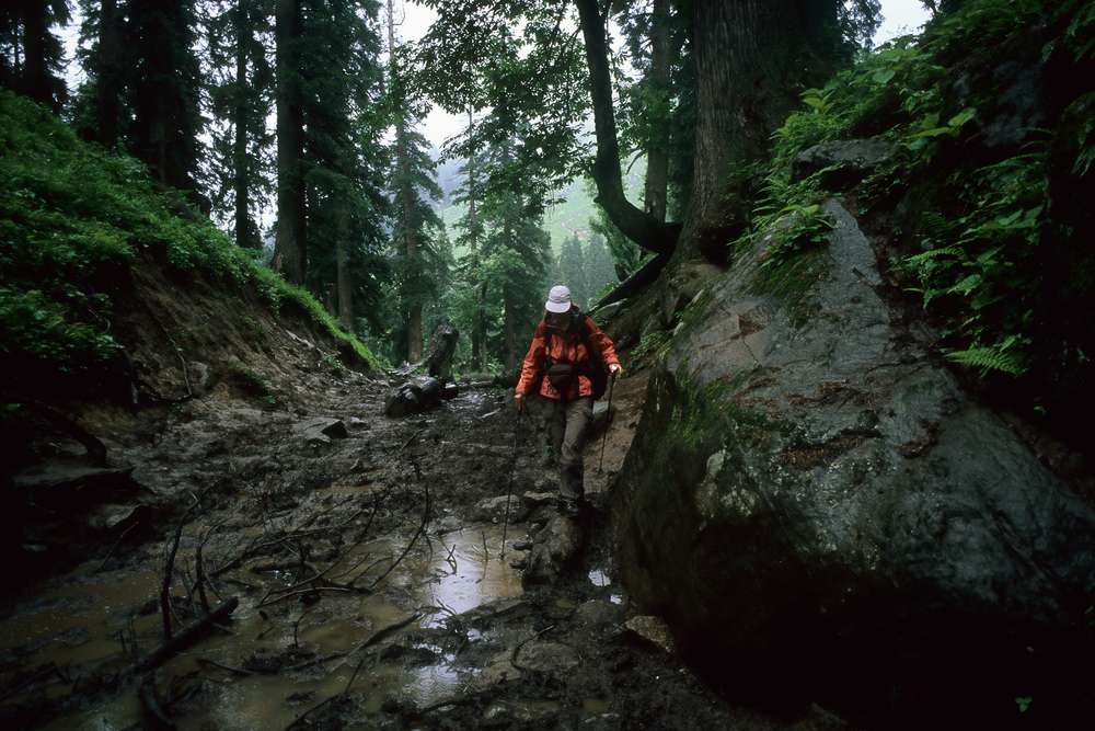 Mathikettan Shola Rainforest Trekking Experience, Munnar
