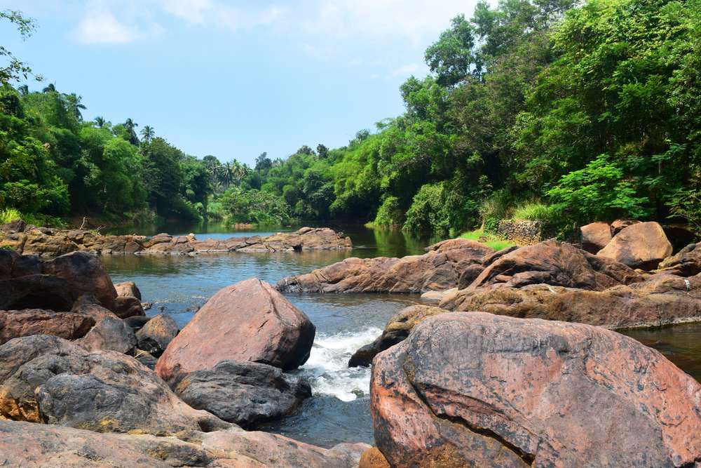 Embrace the Beauty of Karamana River