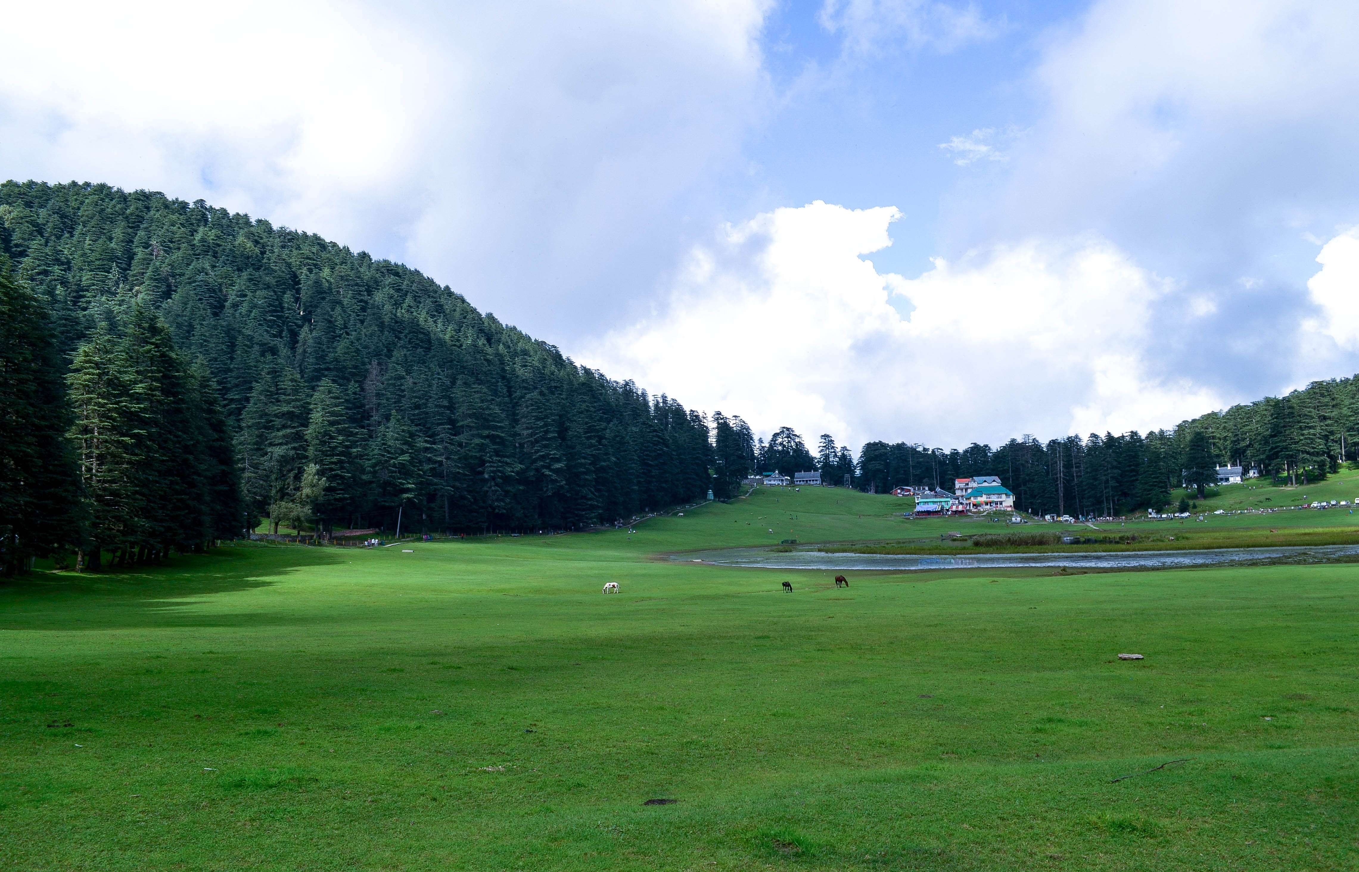 Dalhousie