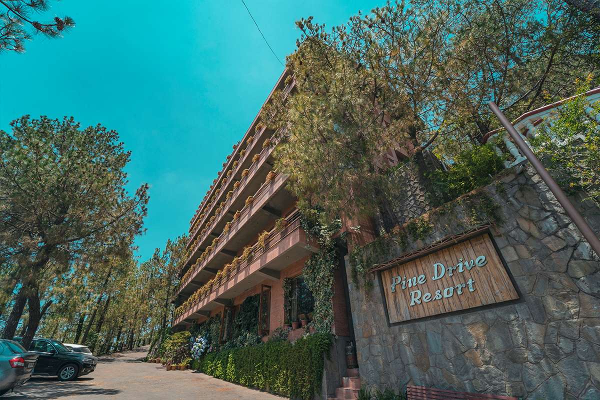 Pine Drive Resort