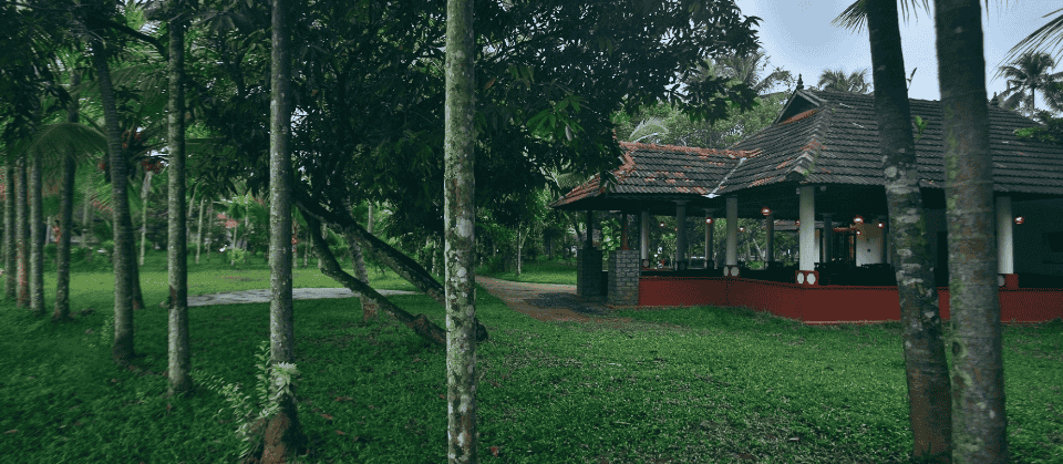 Palm Grove Lake Resort