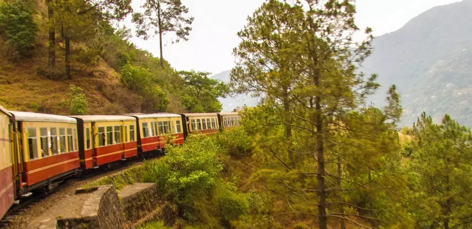Ride in Toy Train