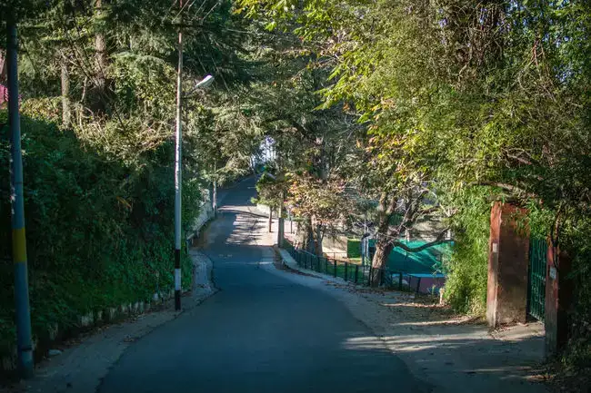 Nature Walk at The Lover`s Lane