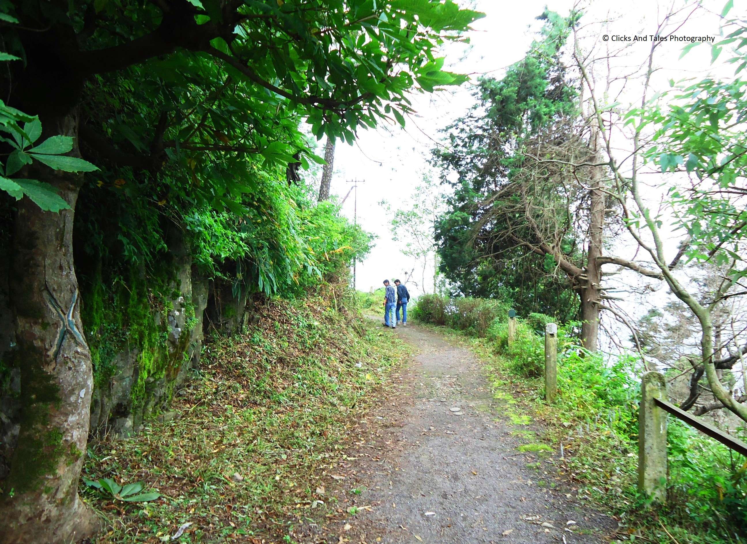 Walking at Gilbert Trail