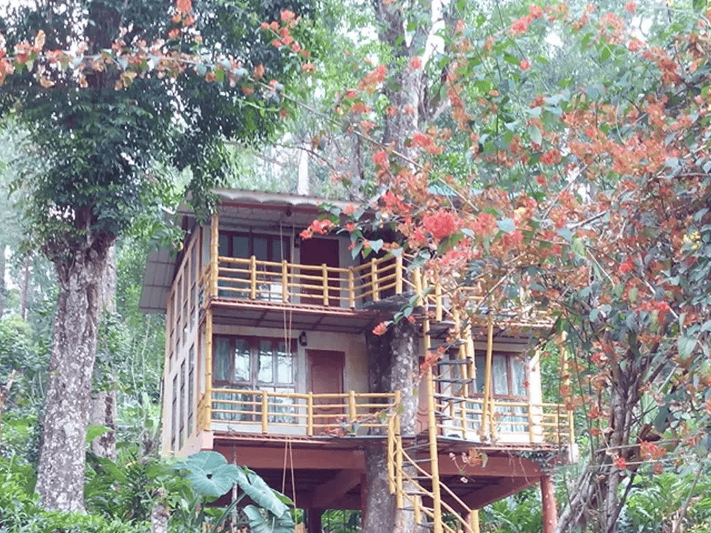 Jungle Jive Tree House in Munnar