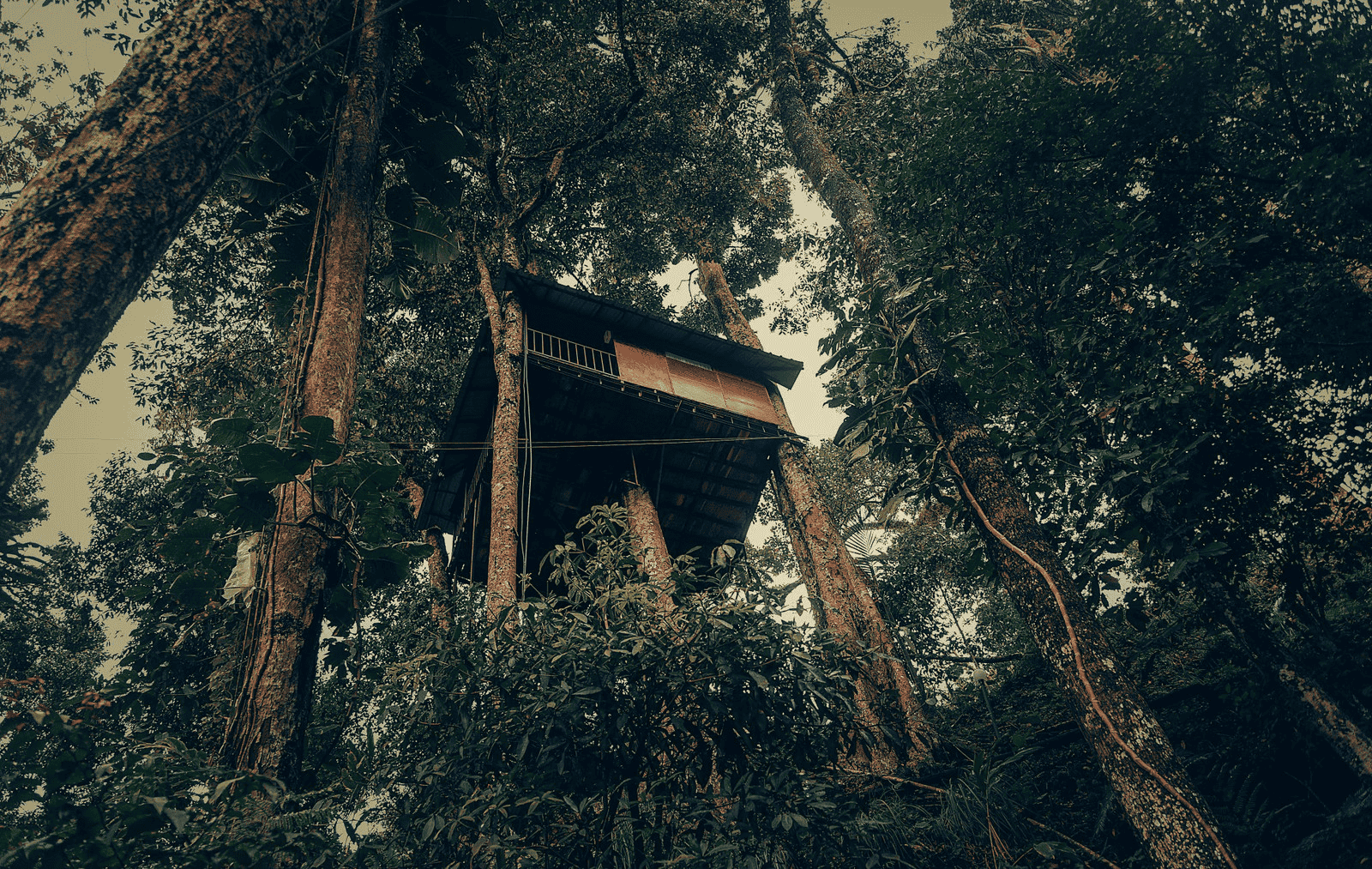 Ela Ecoland Nature Resort