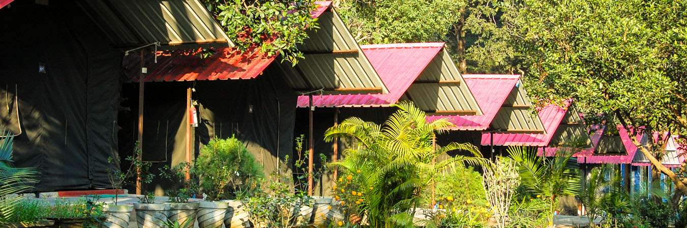 Rajaji National Park Camping, Book Now @ Flat 22% Off!