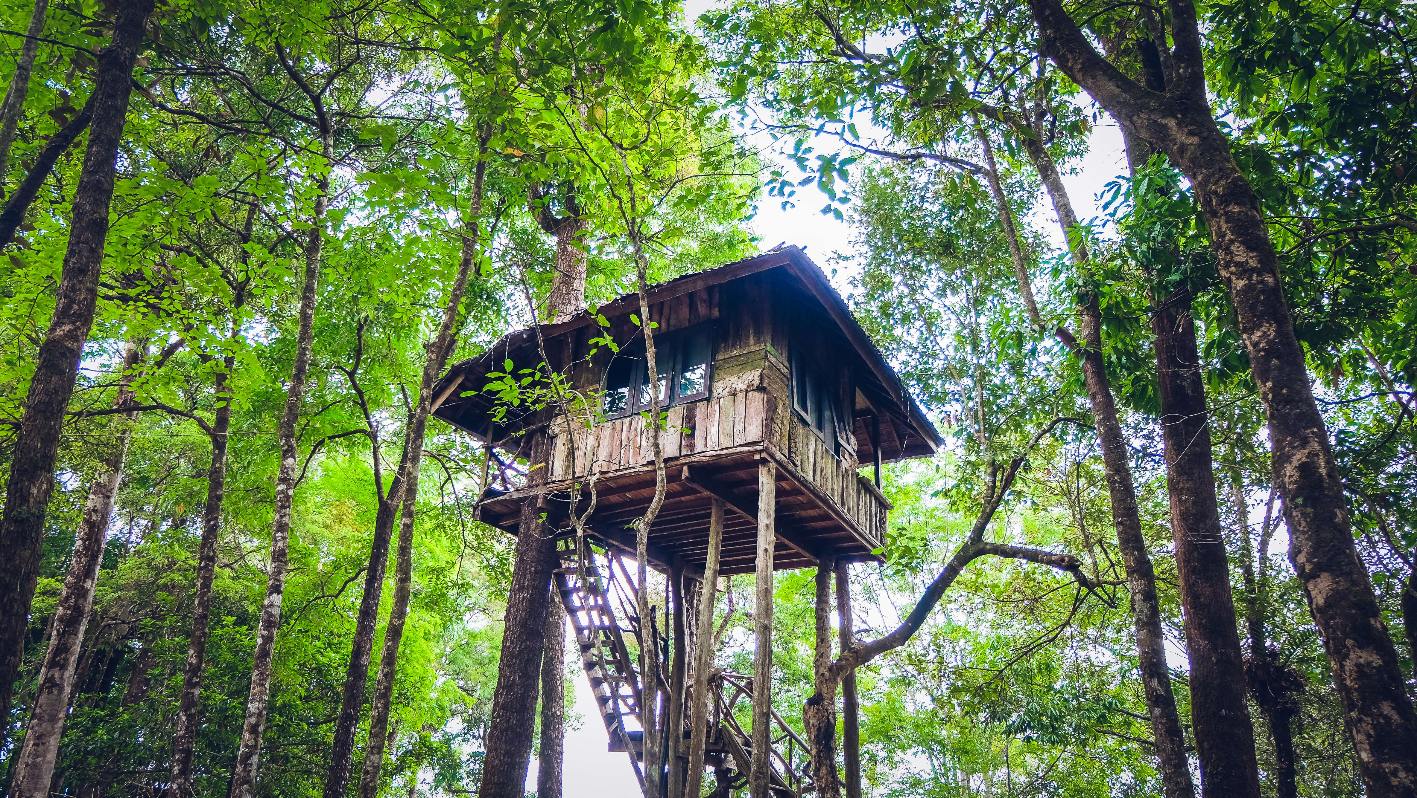 15 Tree Houses in Munnar, Book Now & Get Upto 50% Off