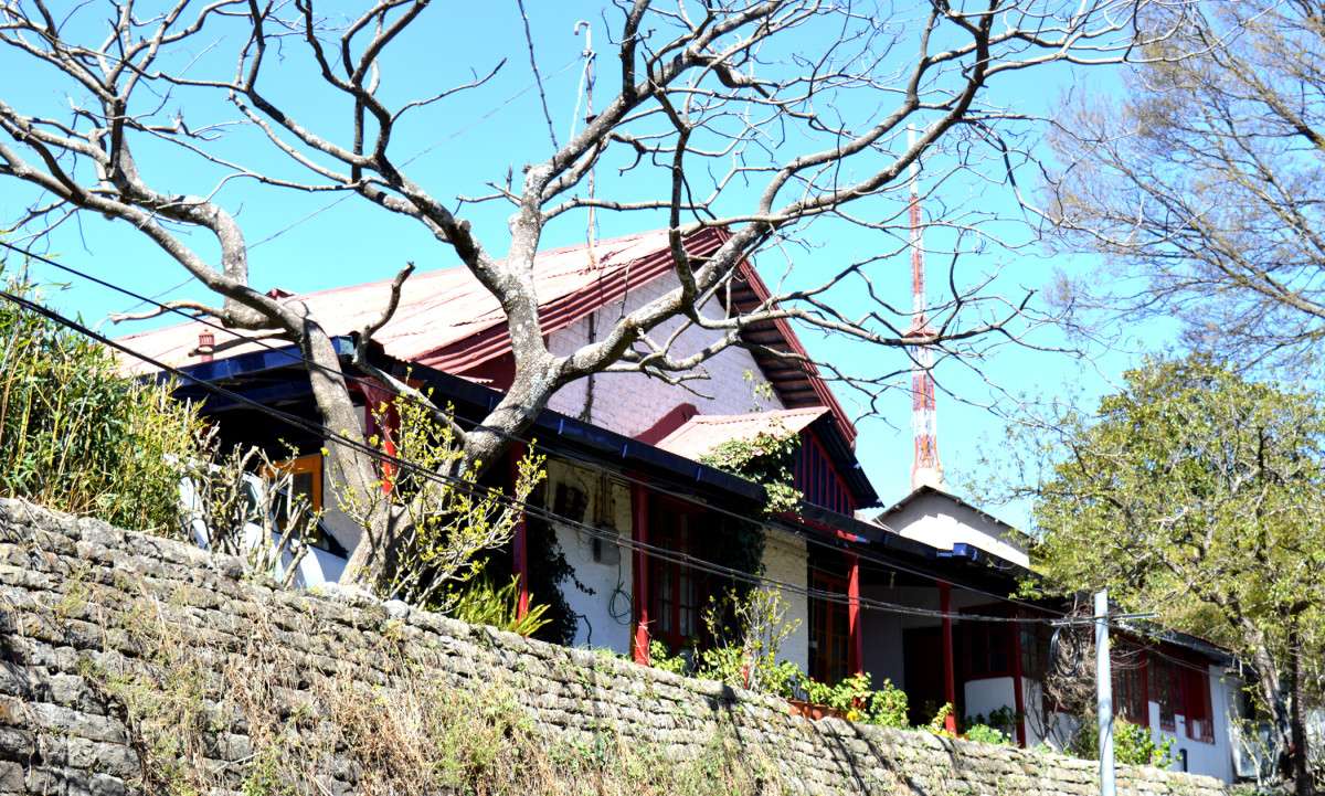 La Pinekonez Kussowlie Homestay