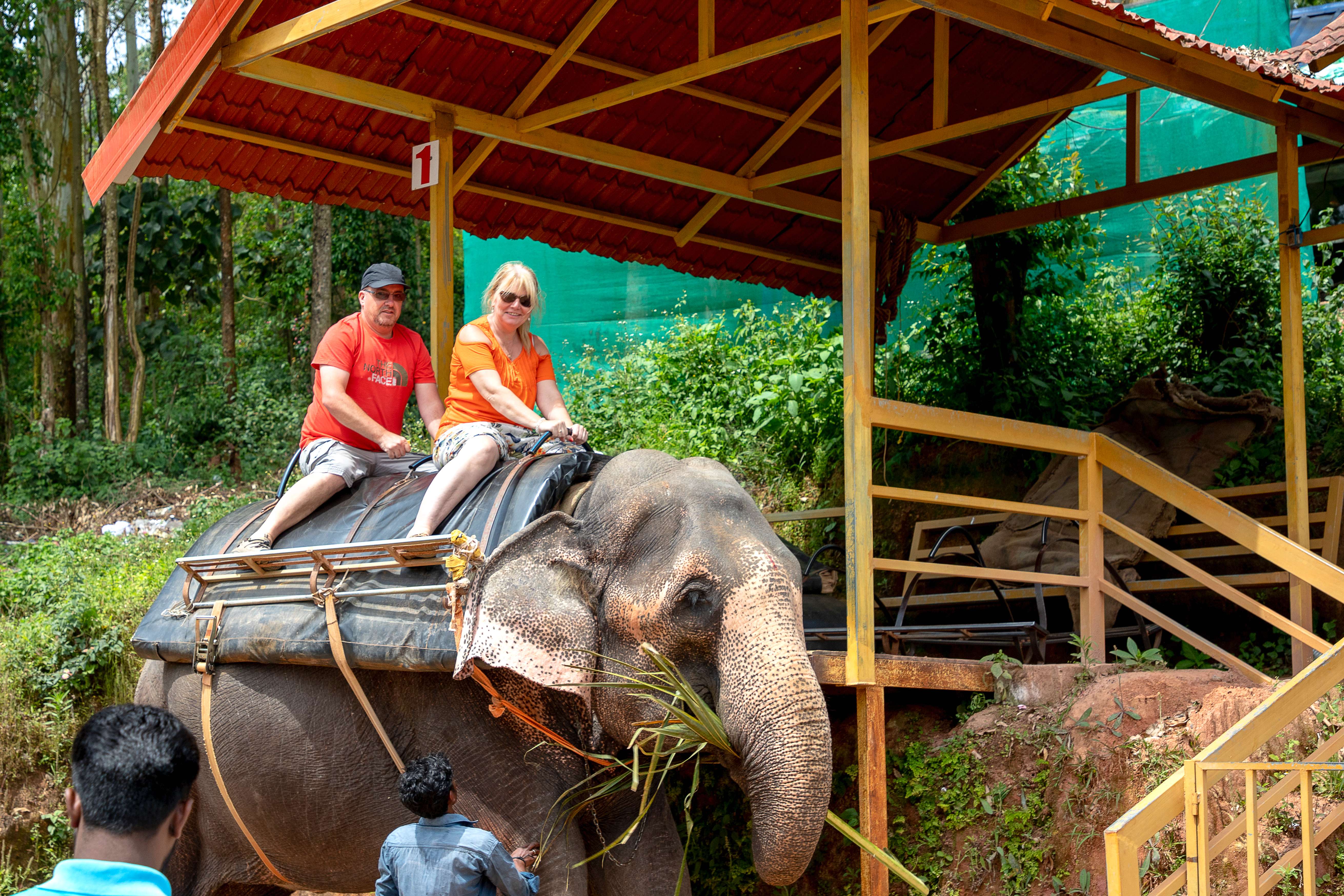 Carmelagiri Elephant Park