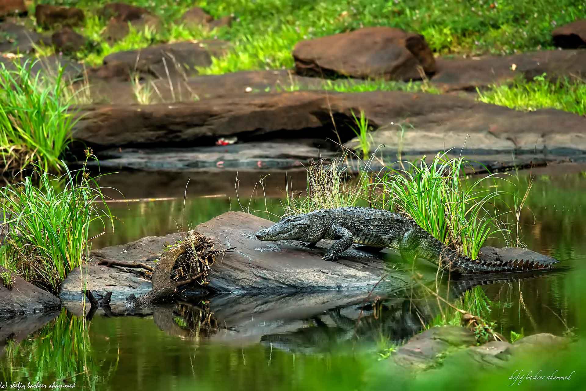 Parambikulam Wildlife Sanctuary