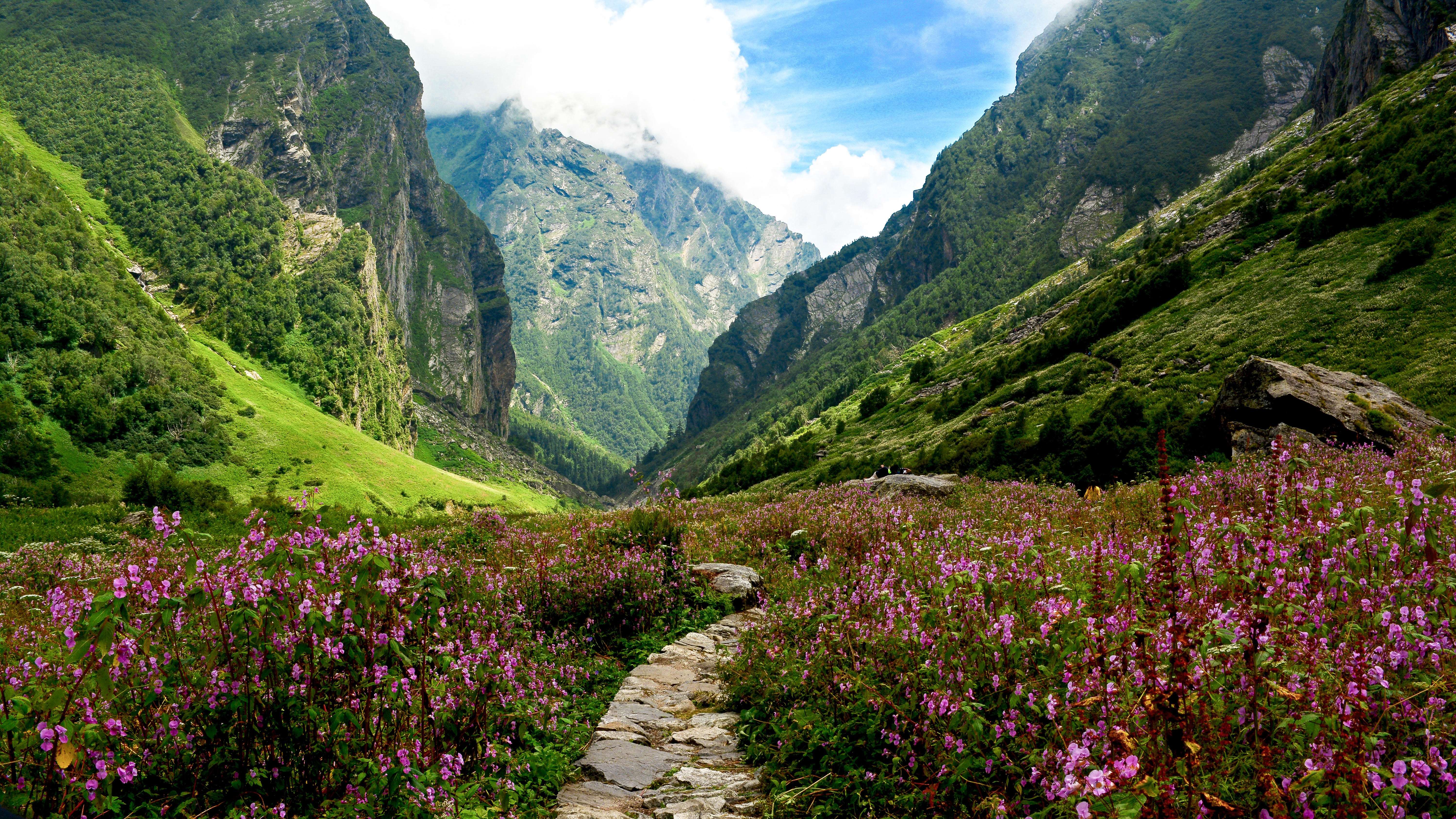 Valley Of Flowers In September