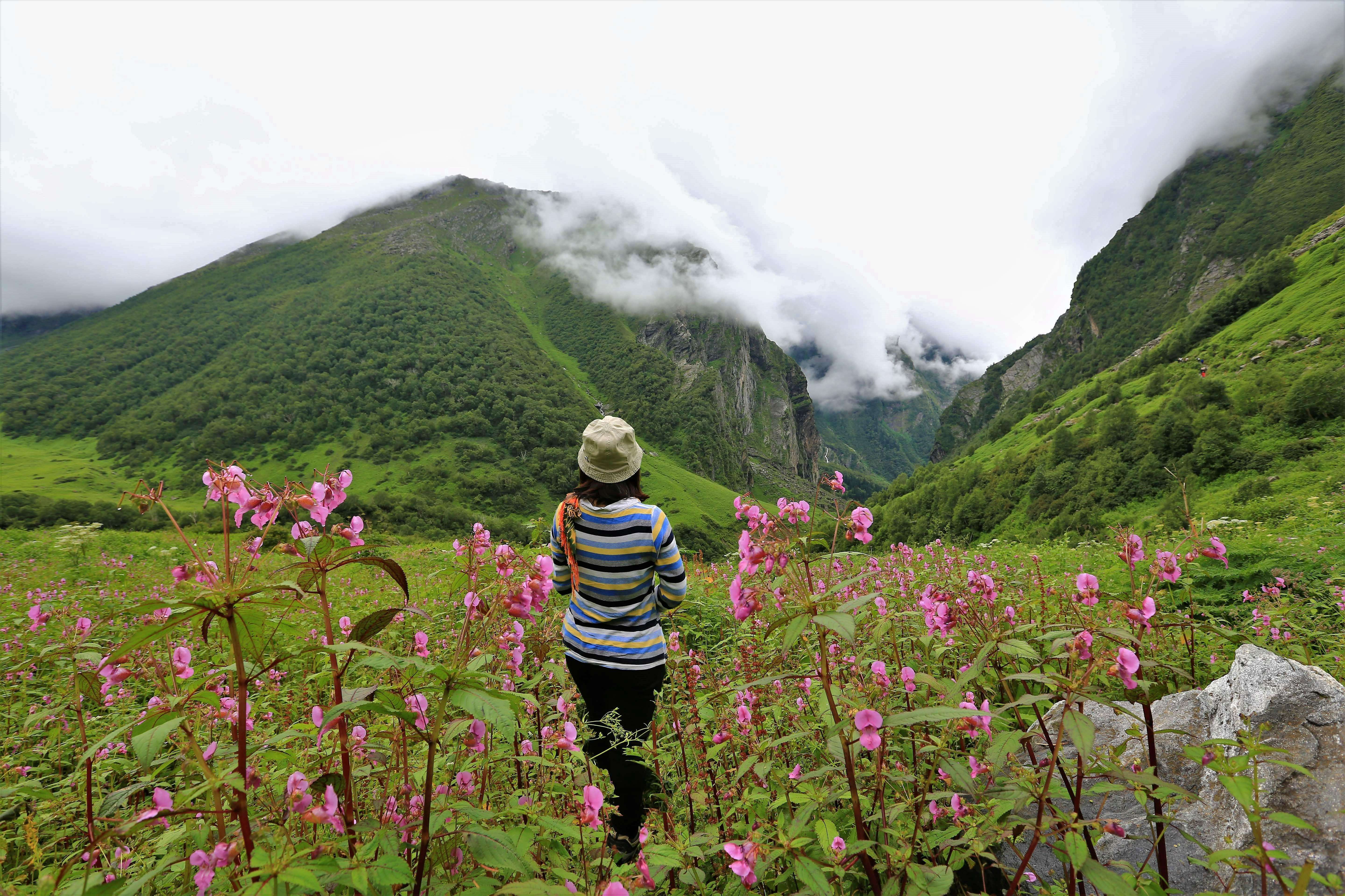 A Common Misconception About Visiting The Valley Of Flowers